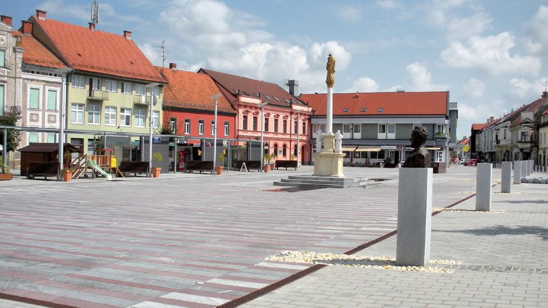 Kombi prevoz putnika do Ljutomera